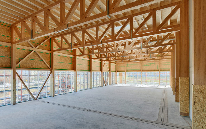 news 190306 RIZ baubuche